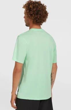 Homme O'Neill T-Shirts|Protection Anti-Uv-HommesT-shirt Stripe| Vert