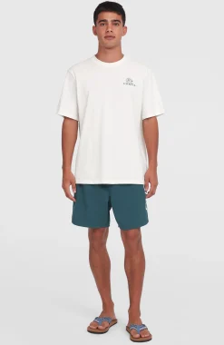 Homme O'Neill T-Shirts|Protection Anti-Uv-HommesT-shirt Surf Co| Blanc
